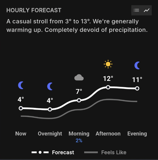 Hourly Forecast Chart